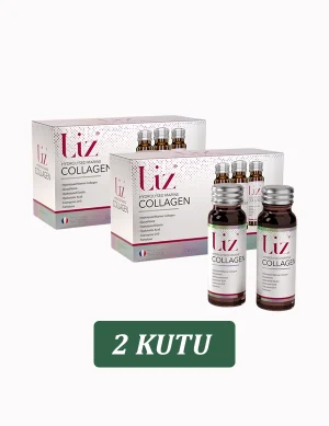 Liz Kolajen (2 Kutu)