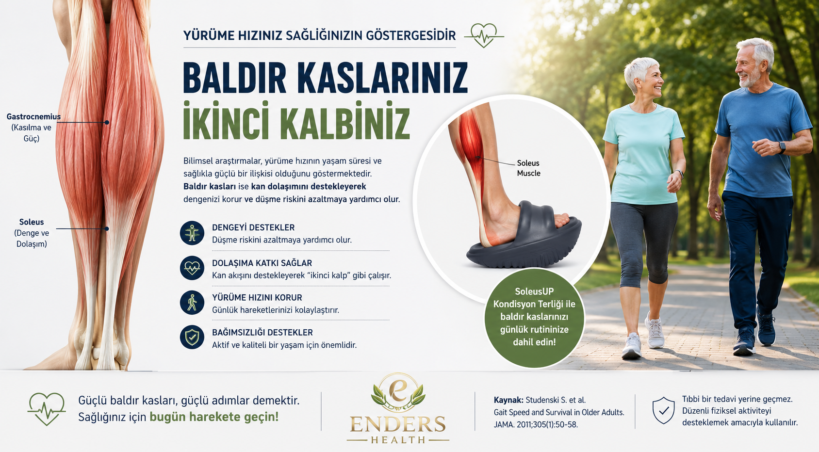 Yürüme hızını destekleyen baldır kasları ve soleus kasının ikinci kalp etkisini gösteren anatomik görsel.